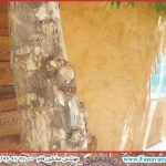 طراحی-دیوار-باغ-کاهگل-شیراز-3-150x150 خانه هاي بوم گردي و باغشهری